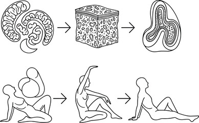 Fototapeta premium Set of 6 Transformation and Movement Icon Illustrations for Conceptual Design and Digital Media Projects