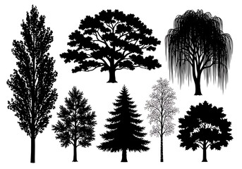 Obraz premium Tree Silhouettes Isolated on White Background