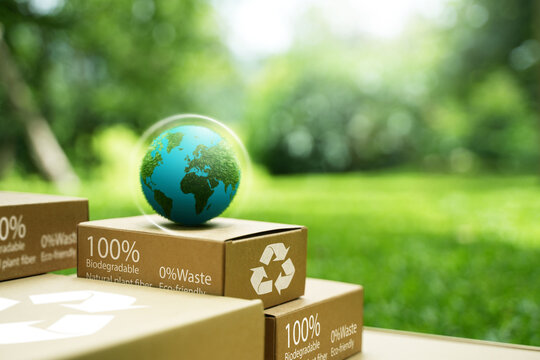 The zero-waste concept, waste reduction to zero, environmental advocacy for recycling and reuse, and sustainable lifestyles.