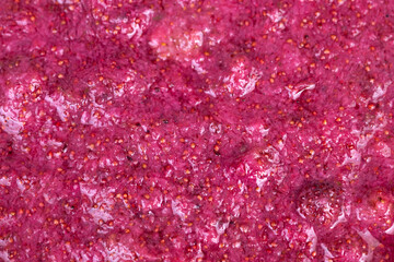 Bright berry coating. Elegant strawberry glaze finish. Luxurious glaze with tiny seed details. Glossy wild strawberry topping with refined seed accents and shine © beholdereye