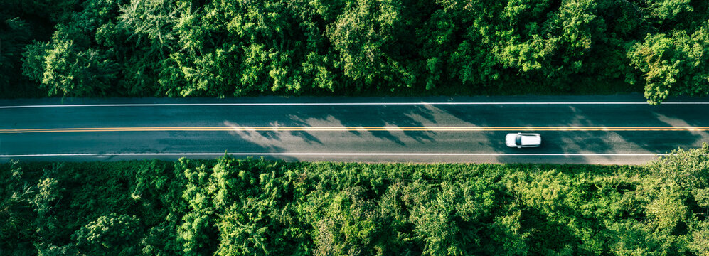 Aerial landscape showing vehicles driving on a curved forest road surrounded by green canopy. Concept image for sustainable infrastructure, green economy and future mobility.