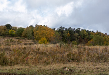 Fototapeta premium Autumn, fragments of a mountain plateau in the morning, cloudy weather, dried vegetation and nature walks