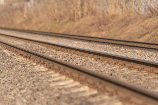 Closeup view of railway tracks fading into background with calm environment. Image captures parallel railway tracks receding into horizon during peaceful late afternoon ambiance