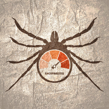 Encephalitis risk value meter scale inside tick icon. Viral infectious disease involving the central nervous system. Tick borne disease