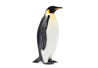 Fototapeta premium Emperor penguin standing tall and majestic in a cold environment