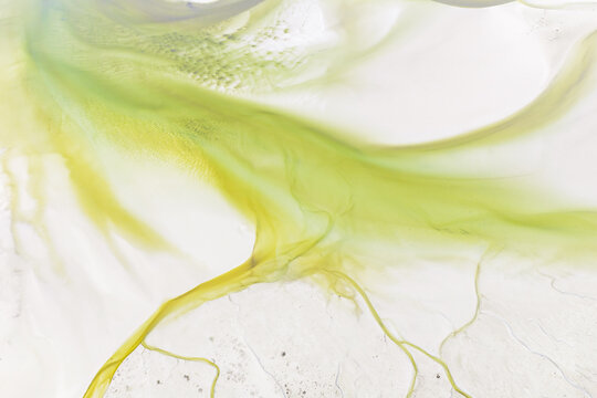 Aerial view of abstract patterns formed by green algae and water channels on a white sandy beach in Goulven, Brittany, France.