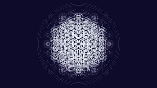 Premium 4K seamless loop of the Flower of Life Anahata Heart chakra, featuring cinematic breathing parametric lotuses in a deep void. Ideal for VJ sets, trance visuals, meditation, and yoga studios.
