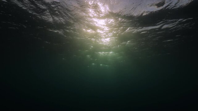 Soft beams of sunlight break through the still ocean surface, illuminating the clear, empty underwater world. A quiet and untouched seascape, filled with harmony, clarity, and natural elegance.