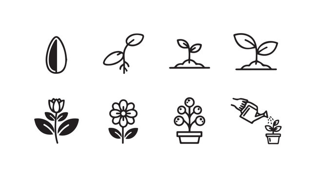 Plant Growth Stages Icons: Seed to Flower and Fruiting Watering Can