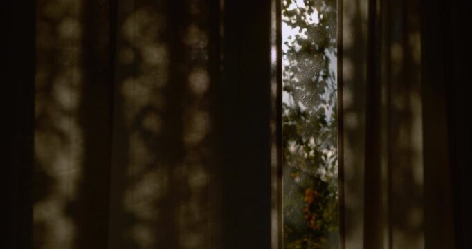 Warm sunlight filters through dark curtains beside a window with blurred green foliage outside.