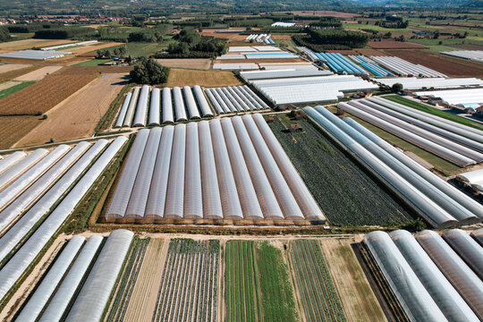 Aerial view of large agricultural greenhouses and cultivated fields under a clear blue sky Bra, Piedmont, Italy.