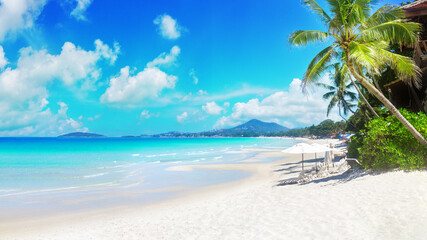 Fototapeta premium Sea beach landscape, paradise tropical island, beautiful exotic nature, turquoise ocean, crystal clear water, green coconut palm tree leaves, white sand, blue sunny sky, summer holiday vacation travel