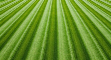 Obraz premium Abstract green stripes of mowed grass from a low angle perspective