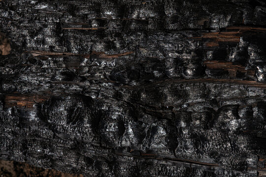 Verbranntes Holz
