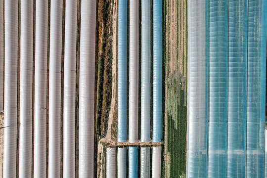 Aerial view of long rows of white and blue greenhouses in an agricultural field in Bra, Piedmont, Italy.