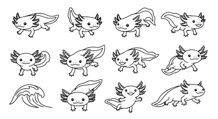 Fototapeta premium Cute cartoon axolotl collection with various playful poses and movements in black line art style