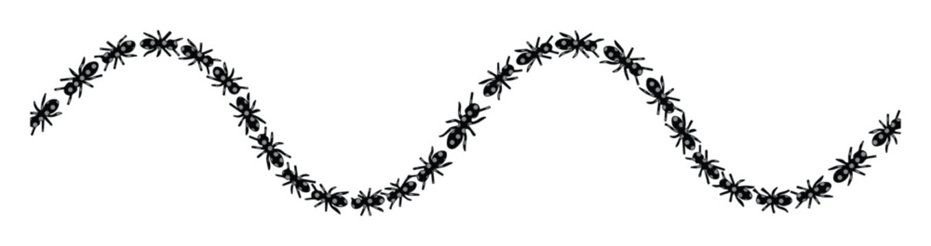 Minimalist black ants trail vector, marching insects in wavy line formation, decorative ant colony border for nature and pest control design