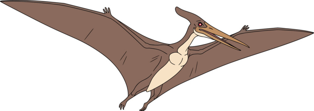 Illustration of A brown pterodactyl flies through the air with outstretched wings.