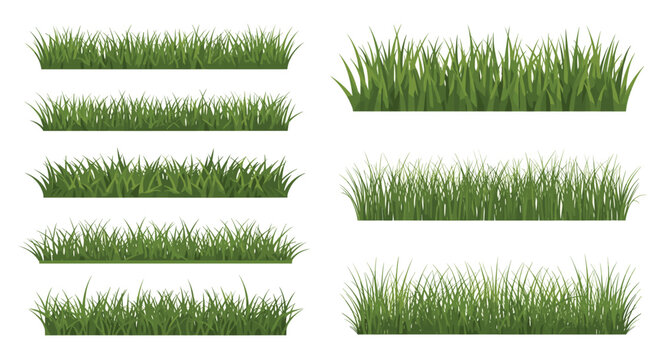 Set of different green grass borders and patches for landscape design elements isolated on white background in flat style.