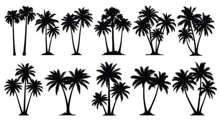 Fototapeta premium Collection of various black palm tree silhouettes in small groups and clusters for tropical landscape and beach vacation designs.