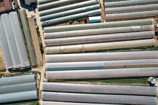 Aerial view of long rows of plastic greenhouses and agricultural polytunnels on a farm in Bra, Piedmont, Italy.
