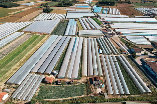 Aerial view of numerous greenhouses and agricultural fields under a clear sky in Bra, Piedmont, Italy.