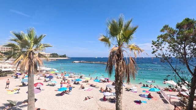 Sun loungers and palm trees on beautiful sandy beach in Antibes France with blue sea water and sunny sky.