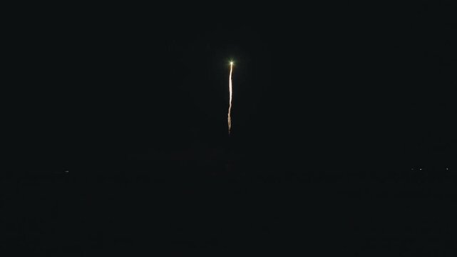 打上花火 10号玉 芸術的な自由玉花火と割物花火 Japan 12 inch fireworks shell