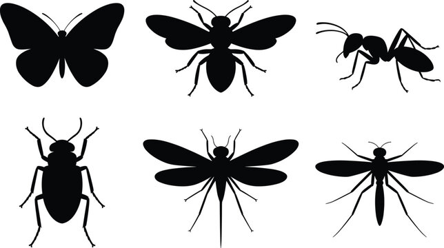 Insect silhouette icons set featuring butterfly bee ant beetle dragonfly and mosquito in minimal black vector style
