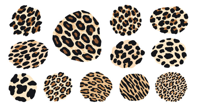 Collection of organic shapes featuring different styles of leopard, cheetah, and tiger animal skin patterns in natural tan and black.