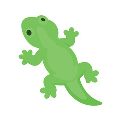 Fototapeta premium Cute light green lizard illustrated on a white background looking upwards