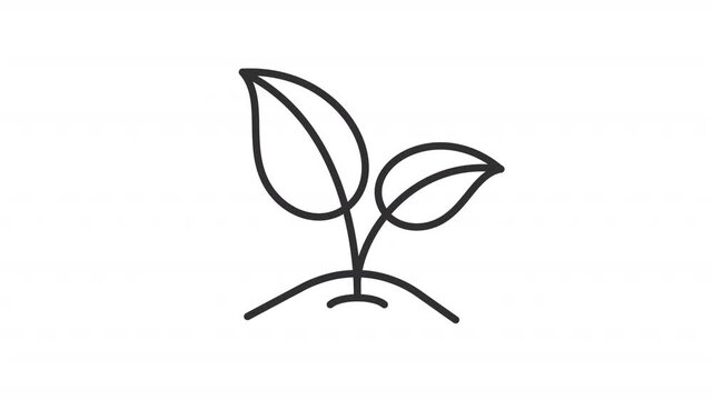 Animated young seedling line icon. Sprout with leaves growing in soil animation. Agricultural plant cultivation. Save nature. Outline element on white background. HD video with alpha channel