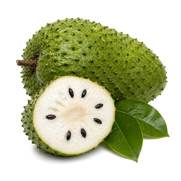 Fresh whole and sliced soursop fruit with green leaves