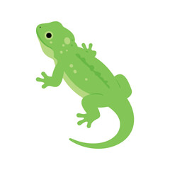 Fototapeta premium Illustration of a light green lizard with spots crawling on a white background