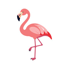 Obraz premium Cartoon flamingo standing on one leg with its neck curved