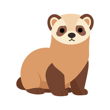 The least weasel, also known as a brown ferret, has a long slender body, short legs, and a relatively short tail with brown and beige fur.