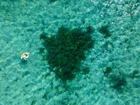 Aerial view of a person floating in a colorful inflatable ring over crystal clear turquoise water and dark seaweed patches in Guanaja, Bay Islands Department, Honduras.