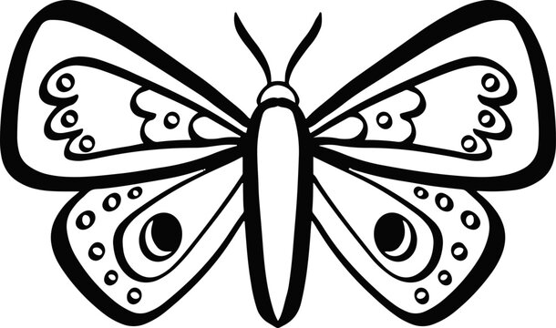 handdrawn boho moth silhouette drawing illustration 