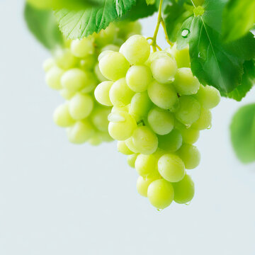 Bunch of Fresh Green Grapes with Leaves and Vine Isolated on White Background Healthy Food