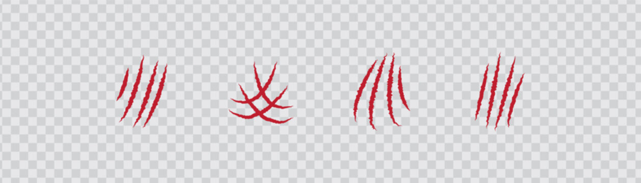 Wild Animal Red Claw Scratch Marks Isolated on transparent background. Claw Slash Marks Grunge Texture Sharp Scratch Vector Illustration