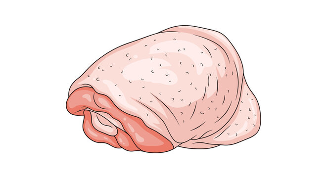 Fresh raw chicken thigh with skin is shown in a detailed illustration to represent healthy poultry cooking ingredients at home.