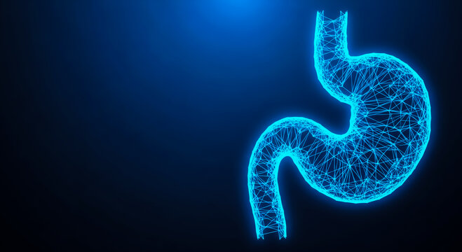 A glowing blue wireframe depiction of a human stomach on a dark gradient background, symbolizing medical or health-related concepts.
