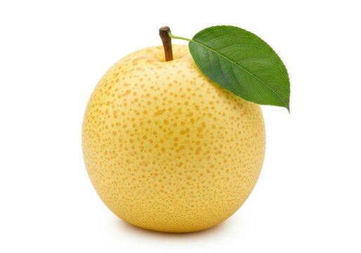 Asian pear with green leaf on stem