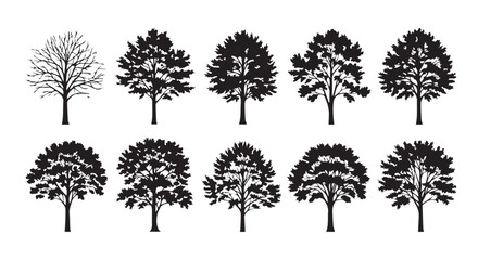 Fototapeta premium Collection of black silhouettes of various trees with black and white design element white background silhouette branches deciduous evergreen