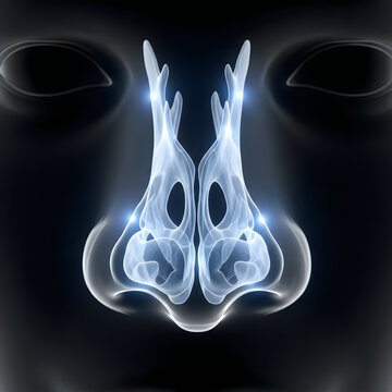 Glowing blue nose bones, human skeleton, medical illustration, anatomy, 3D rendering