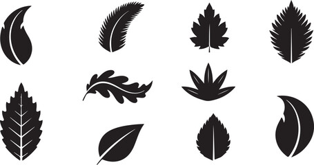 Fototapeta premium Set of various black leaf silhouettes isolated on white background