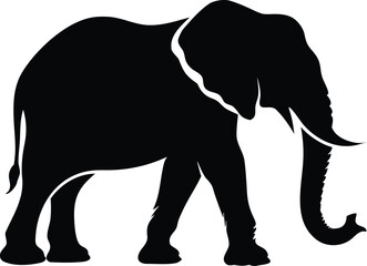 Fototapeta premium Black silhouette elephant walking in nature
