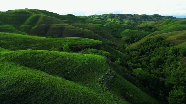 Wairinding Hill Scenic Rolling Savanna and Winding Road in East Sumba