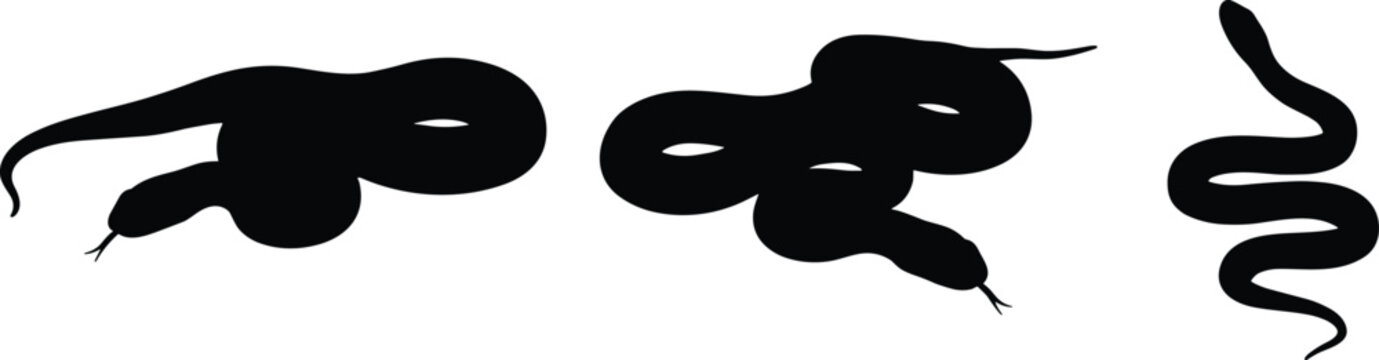 Garter snake silhouette collection. Coiled and slithering poses in black. Isolated reptile vector set for wildlife design, nature themes, education, and logo or tattoo concepts.