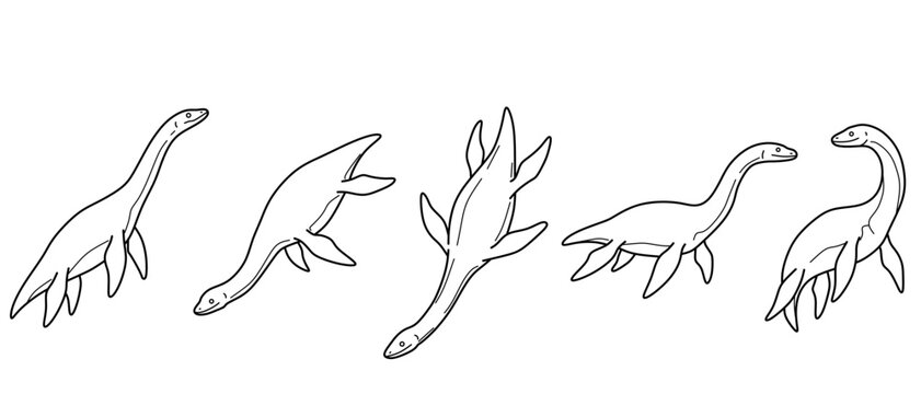outline set of plesiosaurs in five different swimming poses and perspectives, from surfacing to diving